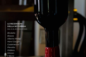 I Vini di WineNews - N. 258