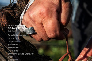 I Vini di WineNews - N. 259