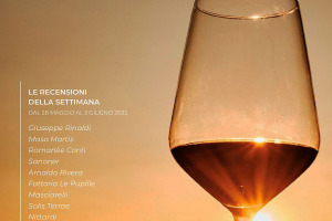 I Vini di WineNews - N. 260