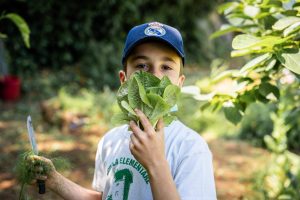 Al via gli Orti Slow Food in 100 nuove scuole d’Italia: un rilancio dello storico progetto Al via gli Orti Slow Food in 100 nuove scuole d’Italia: un rilancio dello storico progetto