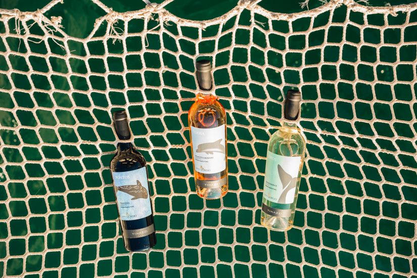  I vini di Cantina San Giorgio in Salento dedicati ai 3 cetacei della Puglia