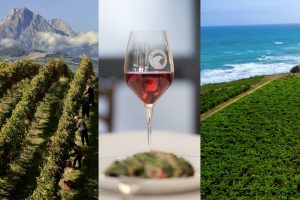 L’Abruzzo del vino cala il suo “poker d’assi”, legandosi a sottozone, cibo, storia e cultura