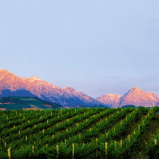 L’Abruzzo del vino, una terra tutta da scoprire
