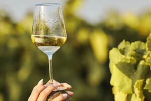 Ferragosto, “vacanza all’italiana” per 13 milioni di italiani in viaggio per le ferie principali