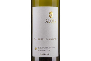 Alois, Terre del Volturno Igt Pallagrello Bianco Morrone 2020