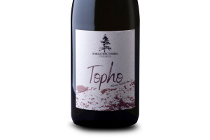 Borgo del Cedro, Doc Roma Malvasia Puntinata Topho 2022