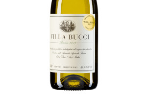 Bucci, Docg Castelli di Jesi Verdicchio Classico Villa Bucci Limited Edition Riserva 2019