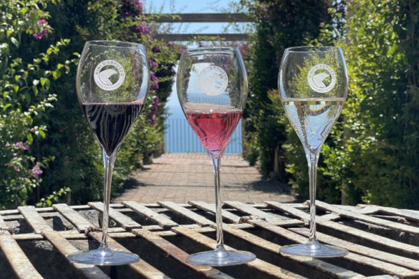 L’Abruzzo del vino, una terra tutta da scoprire