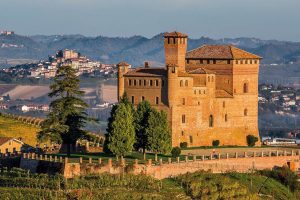 Google: nel 2023 cresce a doppia cifra la ricerca online di wine tasting e food tasting in Italia