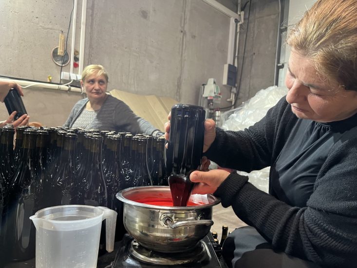 La visita a Chateau Mere, in Georgia