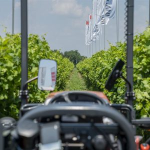 Tecnologia del vino, un settore che vale 2 miliardi di euro, di scena ad “Enovitis in campo” 2023
