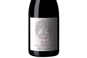 Fabrizio Dionisio, Doc Cortona Syrah Linfa 2021