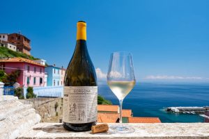 Gorgona, ultima isola-carcere d’Italia “che c’è” grazie al vino prodotto dai detenuti e Frescobaldi