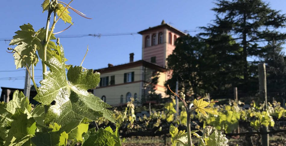 Tenuta La Scolca