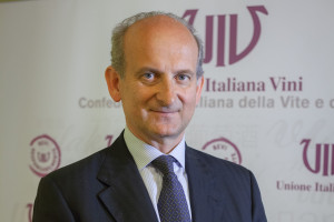 Vino: i ritardi su Ocm Promozione e vini dealcolati preoccupano, come un mercato che non corre Vino: i ritardi su Ocm Promozione e vini dealcolati preoccupano, come un mercato che non corre