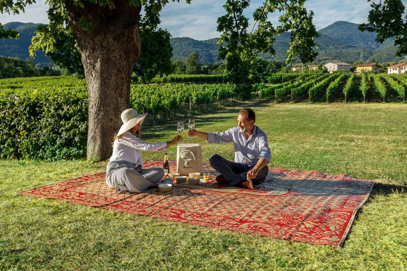 Picnic tra i vigneti della Franciacorta, da Mosnel