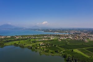 Il Lugana Doc, una delle eccellenze bianchiste italiane, punta sull’enoturismo Il Lugana Doc, una delle eccellenze bianchiste italiane, punta sull’enoturismo