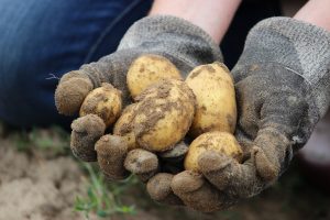 Dall’agricoltura un messaggio chiaro all’Europa: “servono più fondi contro l’inflazione” Dall’agricoltura un messaggio chiaro all’Europa: “servono più fondi contro l’inflazione”
