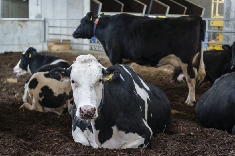 Credit: Hanned Niederkofler