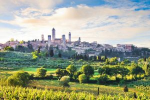 The “Rebel Queen” Vernaccia di San Gimignano: from Dante to the future, between wine, health, and sustainability The “Rebel Queen” Vernaccia di San Gimignano: from Dante to the future, between wine, health, and sustainability