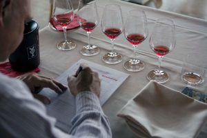 Quasi dimenticata e oggi rediviva: la riscossa della Schiava, storia dell’Alto Adige del vino
