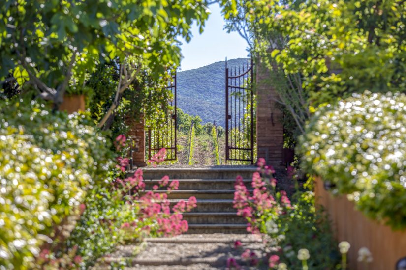 La Tenuta di Biserno