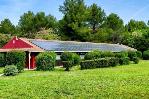 Terre Val di Cornia, nasce il Comitato contro &ldquo;l&rsquo;invasione dei pannelli fotovoltaici sui campi&rdquo;
