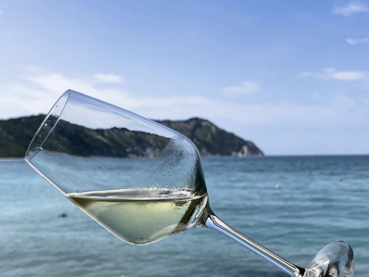 “I magnifici 16” dell’Istituto Marchigiano Tutela Vini a Recanati