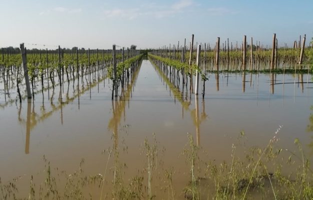 AGRICOLTURA, AGROECOLOGIA, CAMBIAMENTO CLIMATICO, EVENTI ESTREMI, LEGAMBIENTE, METEO, Non Solo Vino