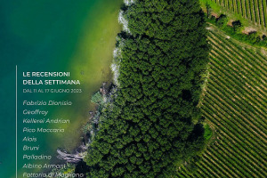 I Vini di WineNews - N. 262