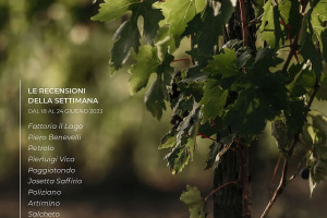 I Vini di WineNews - N. 263