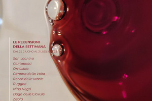 I Vini di WineNews - N. 264