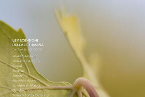 I Vini di WineNews - N. 265