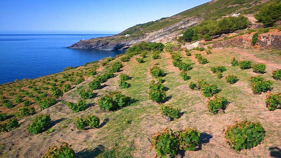 Pantelleria