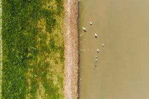 “Senza terreni agricoli l’Italia frana”. L’allarme (Coldiretti) nella Giornata dell’Ambiente