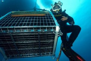 É il momento dei vini subacquei: la Jamin UWW di Portofino diventa capofila di un network nazionale