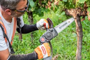 Diventare “chirurgo” della vite, con il corso residenziale di Simonit & Sirch 