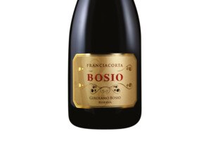 Bosio, Docg Franciacorta Pas Dosé Girolamo Bosio Riserva 2016