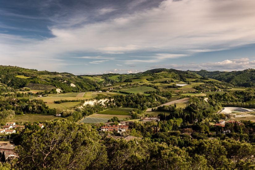 Consorzio Vini di Romagna - Panoramica vigneti in collina