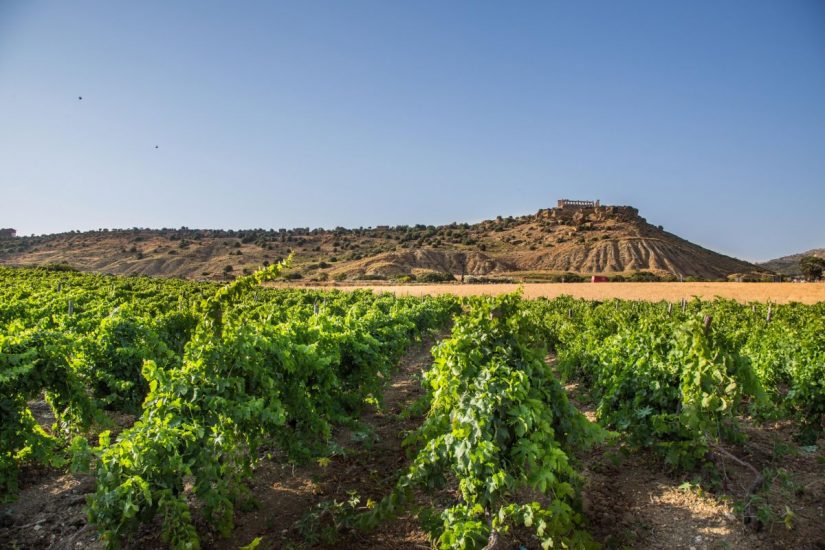 La Valle dei Templi di Agrigento (ph: Giuseppe Caruso)