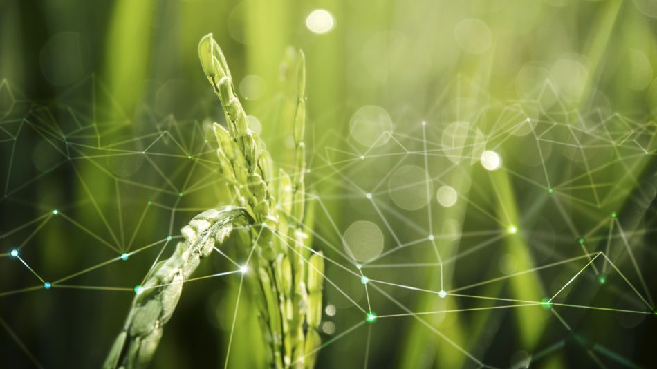 Digitale e biodiversità per il futuro dell’agricoltura