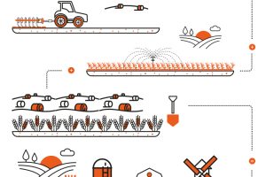Agricoltura e assicurazioni, mercato da 9,6 miliardi di euro. Con uva da vino al top (2,3 miliardi)