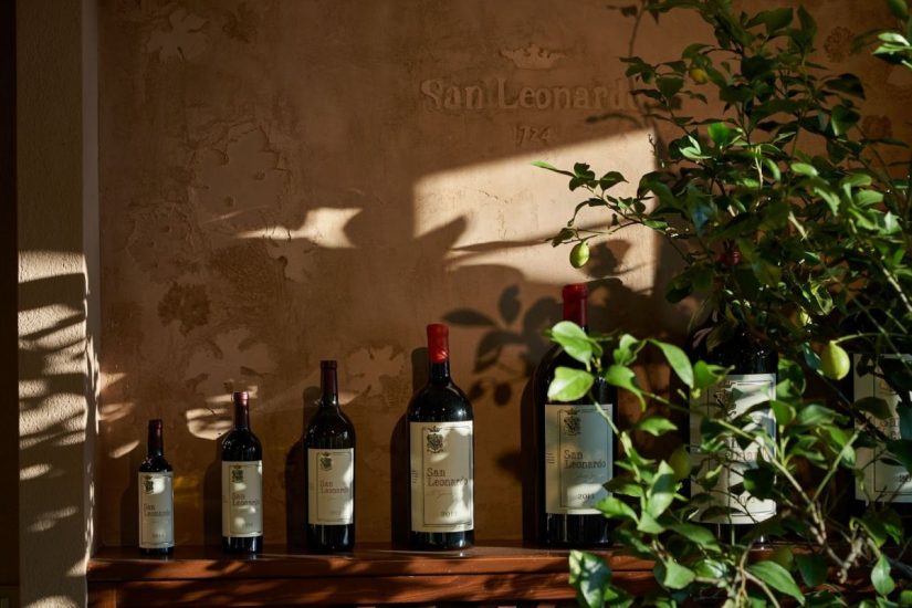 Alla scoperta della Tenuta San Leonardo e del San Leonardo 