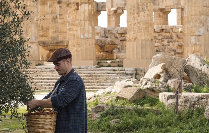 Gli olivi secolari di Selinunte (ph: Centonze)