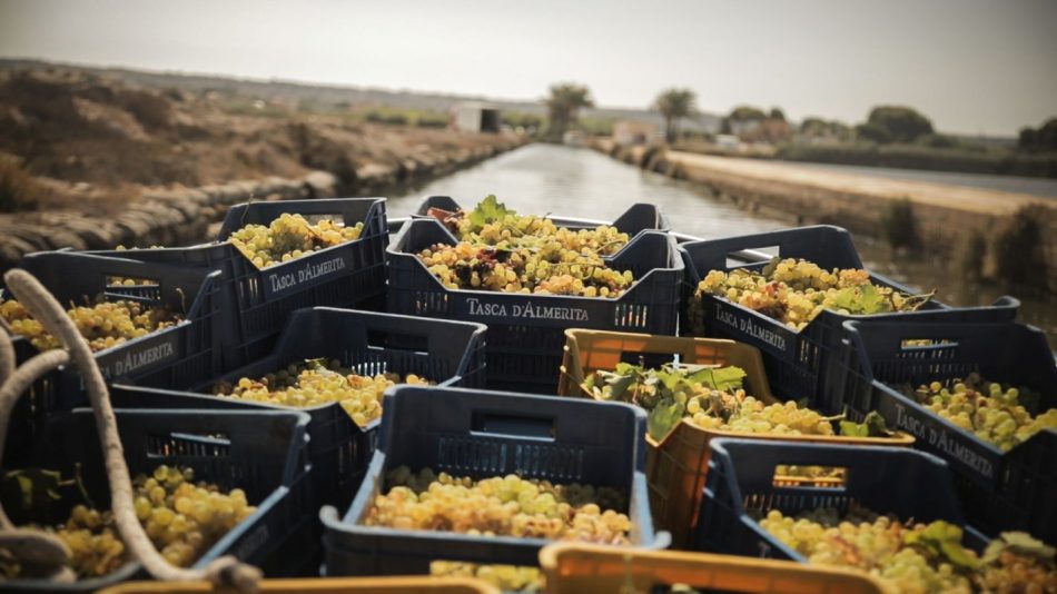 L’isola di Mozia (ph: Tasca d’Almerita)