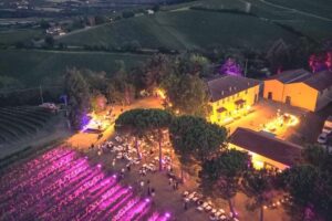 Terre Cevico, tra i big della cooperazione del vino italiano, guarda al futuro