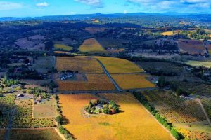 La Russia aumenta i dazi sul vino dai “Paesi ostili” (Italia e Ue inclusi) dal 12,5% al 20%