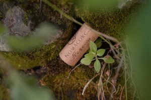 Dalle chiusure prodotte con plastica proveniente dal mare al recupero di 80.000 kg di tappi