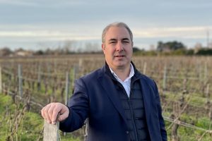 La Francia del vino oltre Bordeaux, Borgogna e Champagne, secondo Yohan Castaing