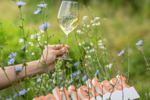 “Mittelfest” 2023, dove anche il vino non può mancare. L’incontro tra le culture del Centro Europa